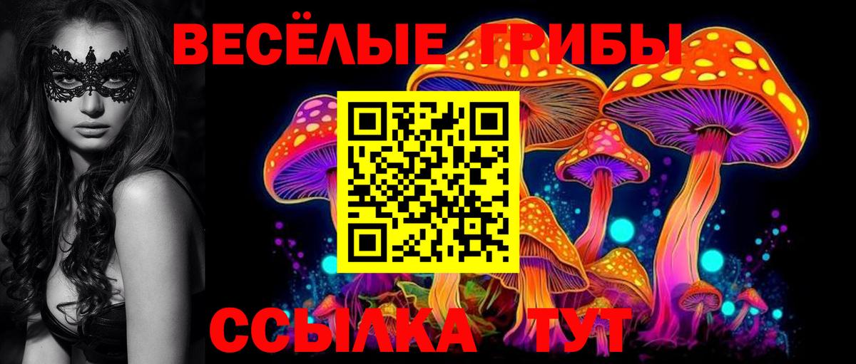 Галлюциногенные грибы MAGIC MUSHROOMS Новодвинск