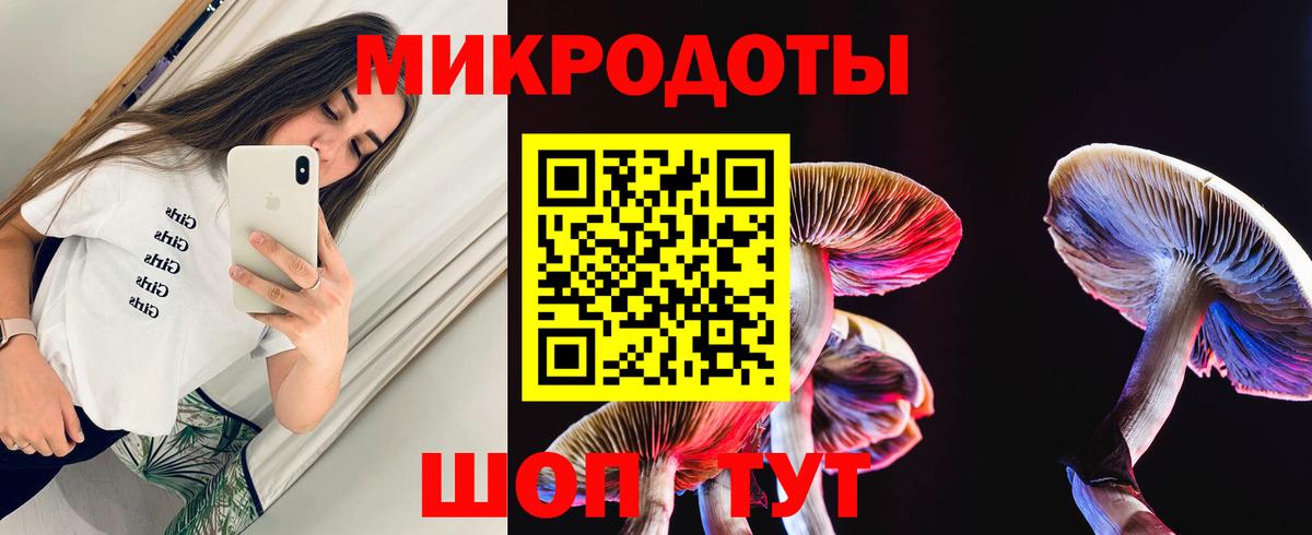 Новодвинск  Галлюциногенные грибы мухоморы  Вход с VPN  Псилоцибиновые грибы Psilocybine cubensis 